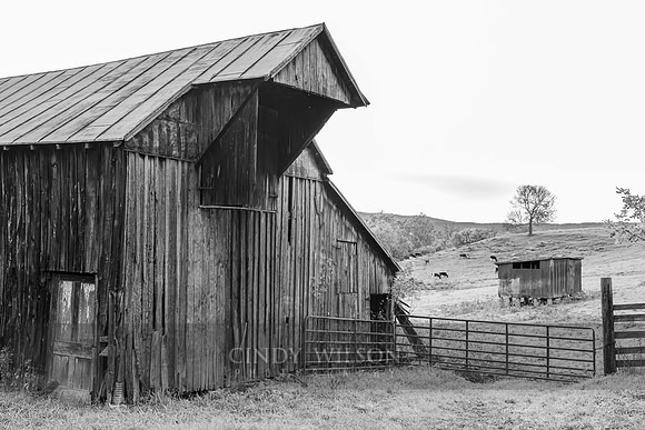 Barn, Luray, VA