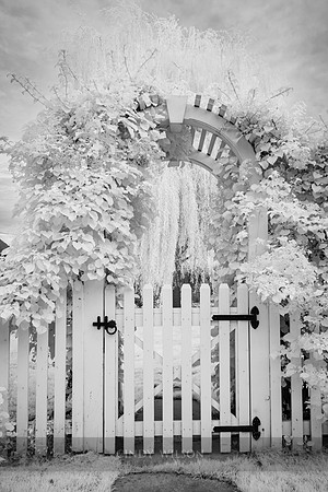 Wickford Arbor II