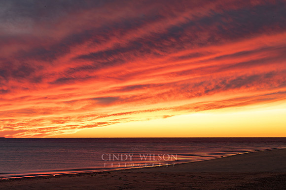 Race Point Sunset