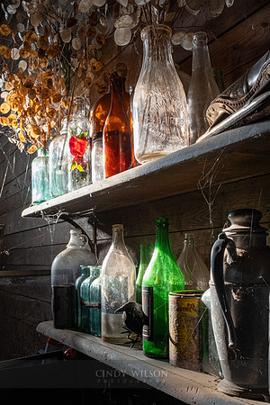 Bottles in the Light