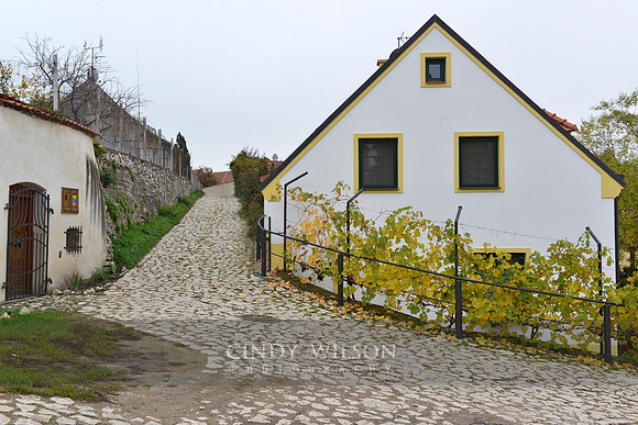 _CHW0271 copy