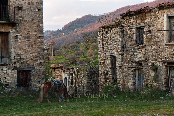 Day's End, Roscigno Vecchio, 2006